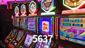 Programa VIP 5637